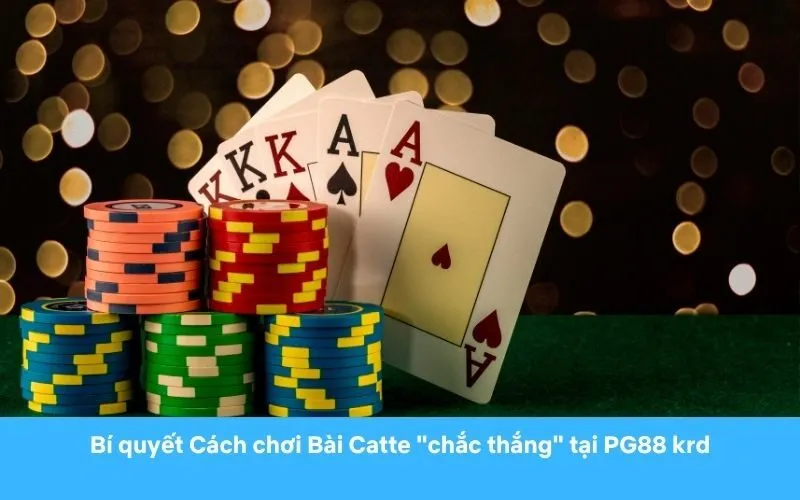 Bí quyết Cách chơi Bài Catte