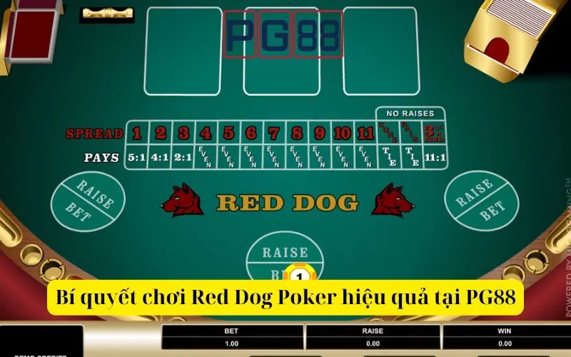 Luật chơi và cách chơi Red Dog Poker hiệu quả tại PG88