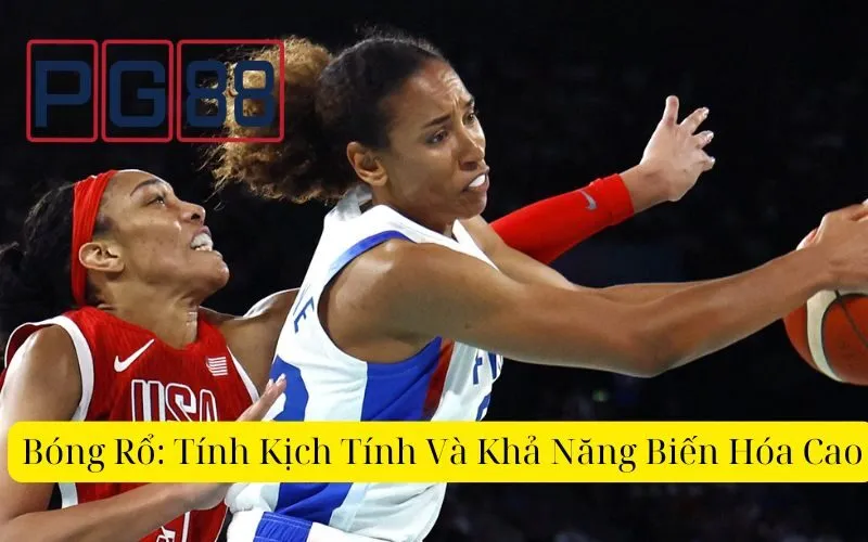Những môn thể thao thông dụng được nhiều người tham gia đặt cược