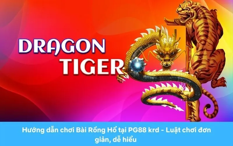 Hướng dẫn chơi Bài Rồng Hổ tại PG88 - Luật chơi đơn giản, dễ hiểu