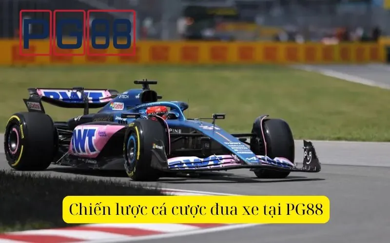 Cách chọn tay đua tiềm năng để thắng lớn