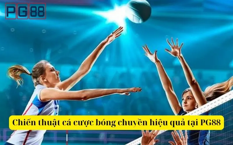Hướng dẫn chiến thuật cá cược bóng chuyền hiệu quả tại PG88