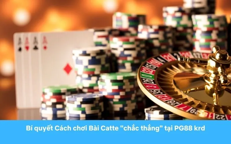 Bí quyết Cách chơi Bài Catte