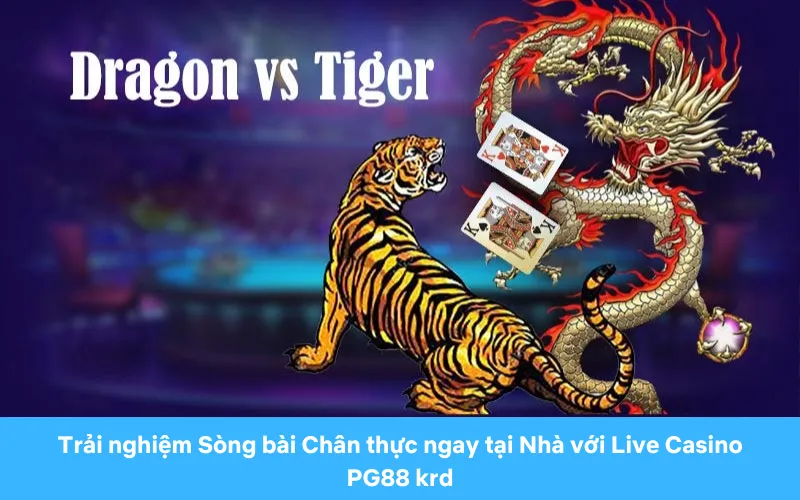 Trải Nghiệm Sòng Bài Dragon Tiger Đẳng Cấp Tại Nhà Với Pg88