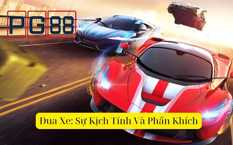 Những môn thể thao thông dụng được nhiều người tham gia đặt cược