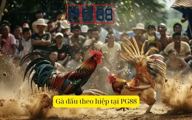 Các loại hình Đá gà phổ biến tại nhà cái trực tuyến PG88