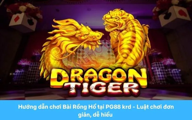 Hướng dẫn chơi Bài Rồng Hổ tại PG88 - Luật chơi đơn giản, dễ hiểu