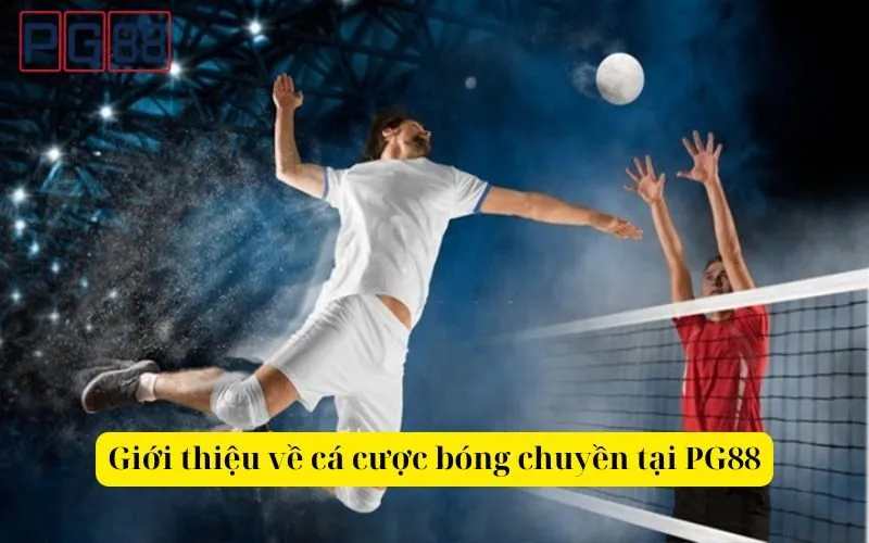 Hướng dẫn chiến thuật cá cược bóng chuyền hiệu quả tại PG88