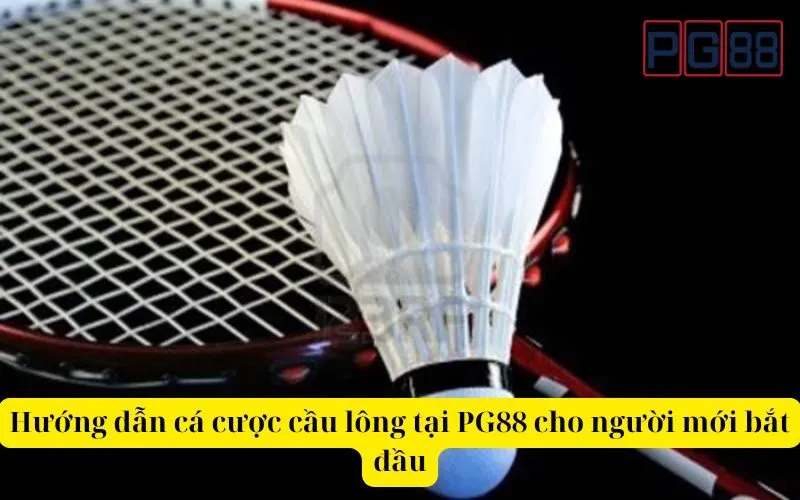 Hướng dẫn cá cược cầu lông hiệu quả tại PG88