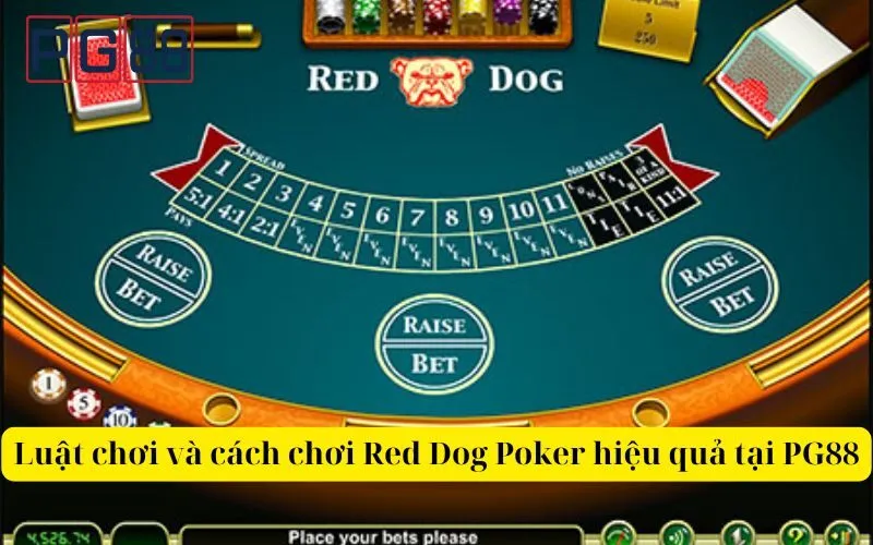 Luật chơi và cách chơi Red Dog Poker hiệu quả tại PG88