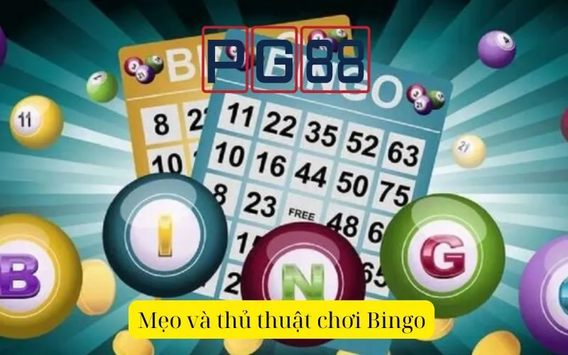 Kinh nghiệm chơi Bingo từ những người chơi thành công - PG88