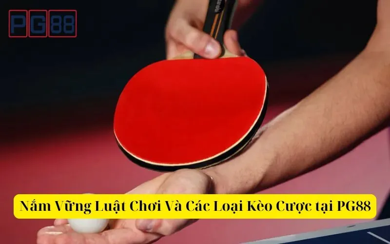 Hướng dẫn đặt cược bóng bàn luôn thắng lớn tại PG88