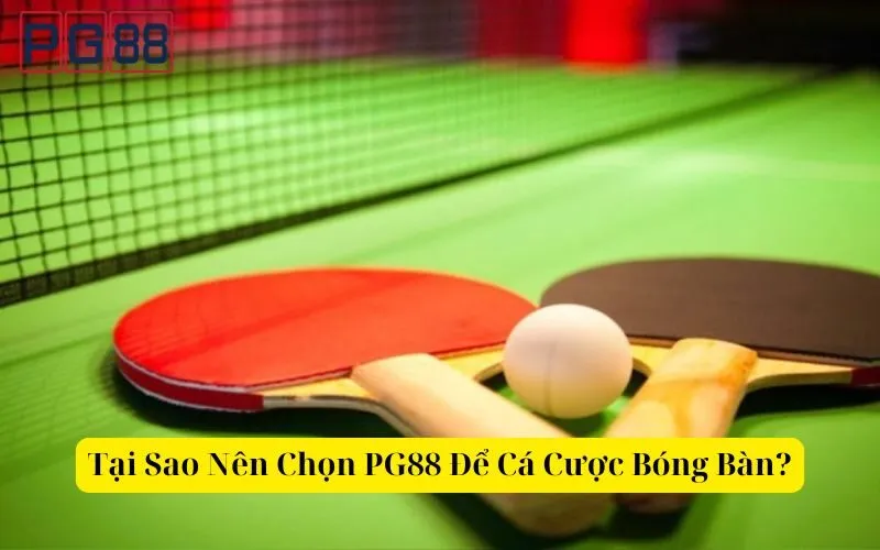 Hướng dẫn đặt cược bóng bàn luôn thắng lớn tại PG88