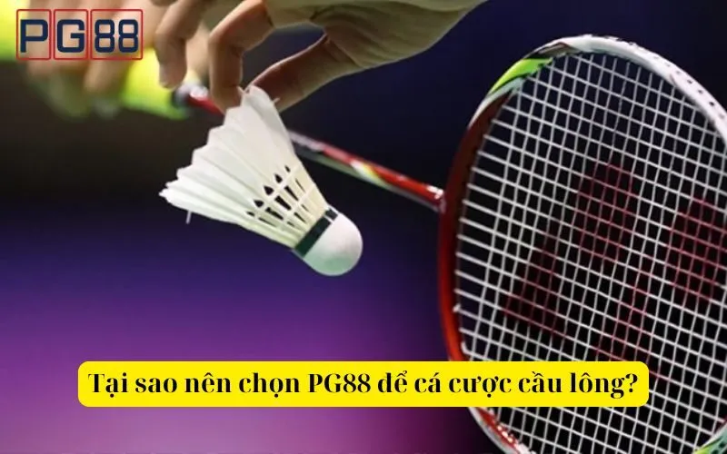 Hướng dẫn cá cược cầu lông hiệu quả tại PG88