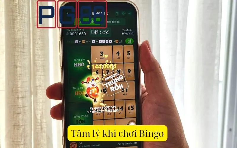 Kinh nghiệm chơi Bingo từ những người chơi thành công - PG88