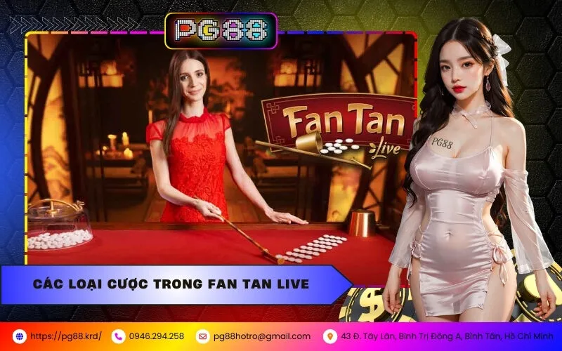 Hướng Dẫn Chơi Fan Tan Live Cho Người Mới Tại PG88