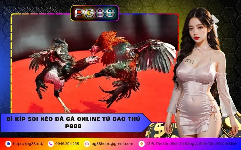 Hướng Dẫn Chọn Kèo Đá Gà Online Chuẩn Xác Tại PG88