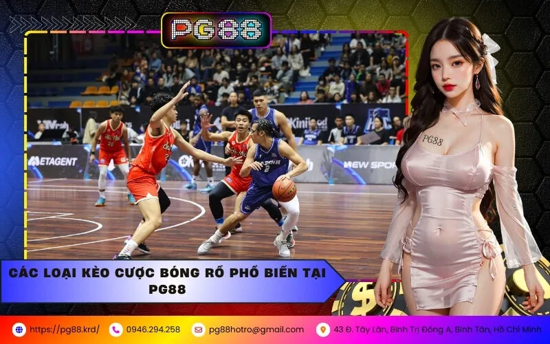 Hướng Dẫn Đặt Cược Bóng Rổ Hiệu Quả Tại PG88
