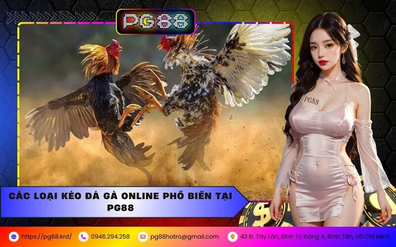 Hướng Dẫn Chọn Kèo Đá Gà Online Chuẩn Xác Tại PG88
