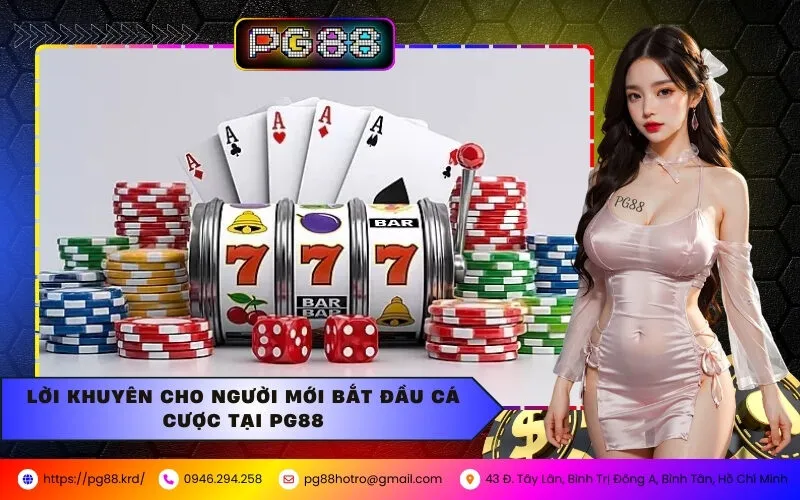 Top 5 Chiến Thuật Đặt Cược Hiệu Quả Cho Người Mới Tại PG88