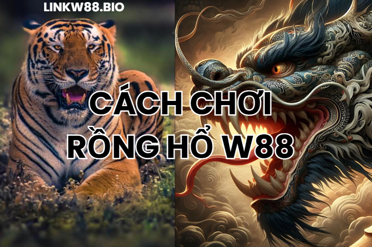 Cách Chơi Rồng Hổ W88 - Đánh Bại Nhà Cái Trực Tuyến Cách Chơi Rồng Hổ W88 - Đánh Bại Nhà Cái Trực Tuyến