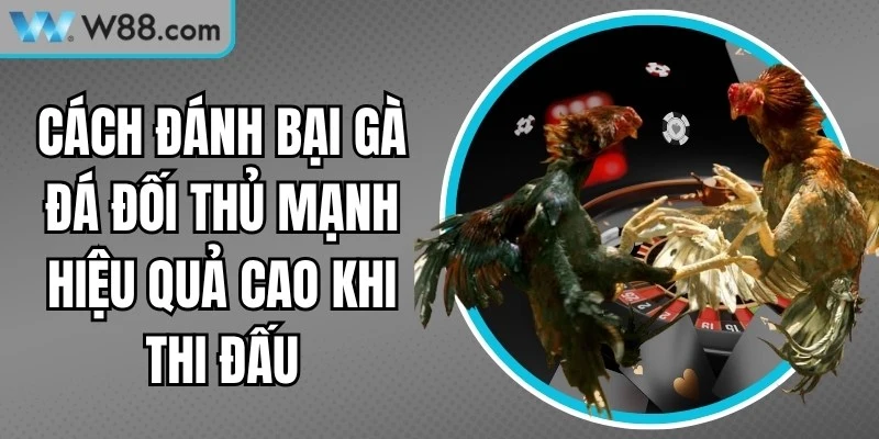 Đá Gà W88 - W88 [seolink] &#55356&#57238️ Link W88 App Mới Nhất 2026 – Xổ số W88