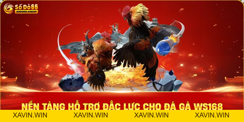 Đá Gà WS168 Trải Nghiệm Chơi Gà Đỉnh Cao