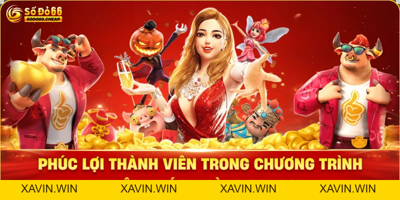 Tri Ân Khách Hàng Sodo66 – Đặc Quyền Và Phúc Lợi VIP