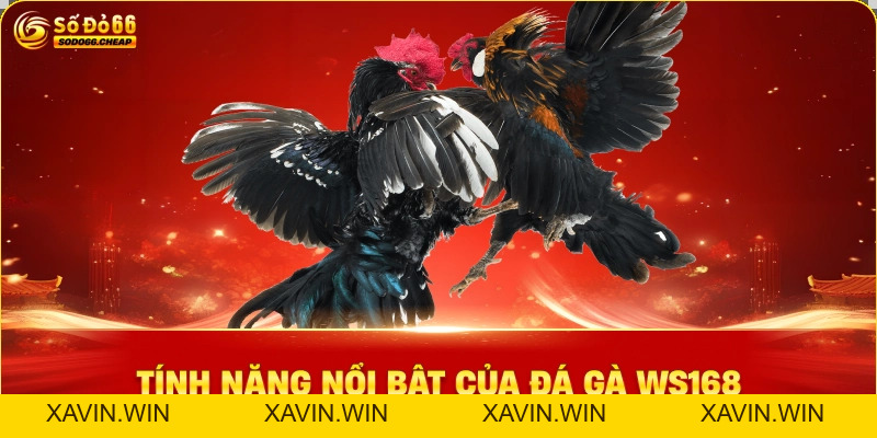 Đá Gà WS168 Trải Nghiệm Chơi Gà Đỉnh Cao