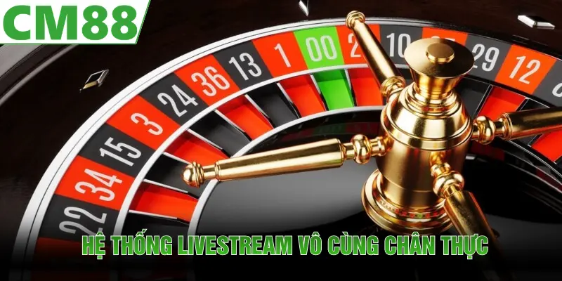 Casino CM88 | Sảnh Cược Với Mức Hoàn Trả Vô Cùng Cạnh Tranh