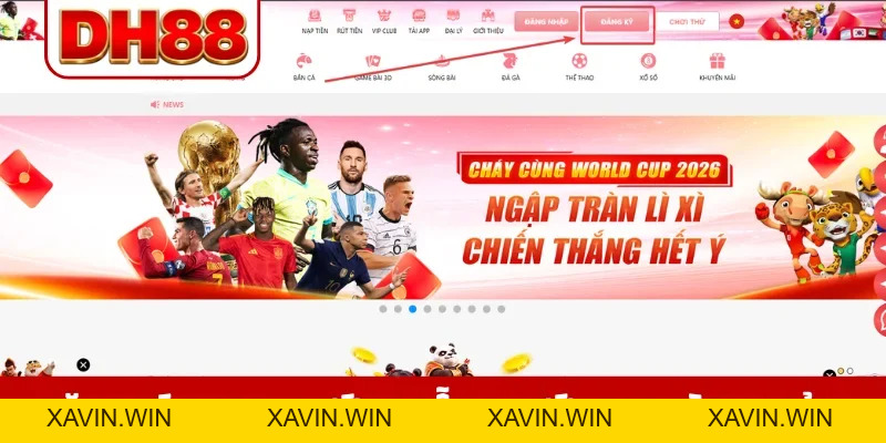 Hướng dẫn