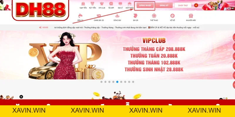Hướng dẫn