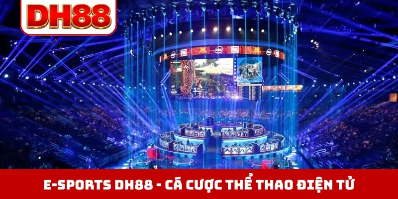 Sản phẩm