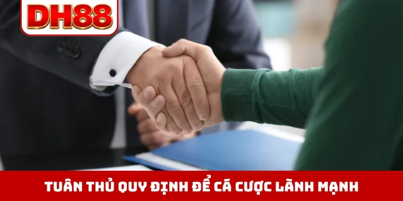 Điều Khoản Điều Kiện DH88 - Định Hình Quyền Lợi Hội Viên